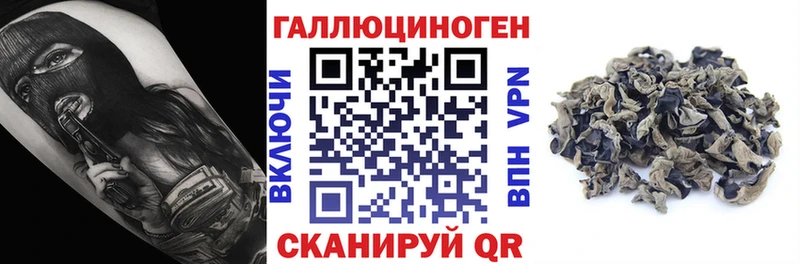Купить  Слюдянка  Галлюциногенные грибы Psilocybe 